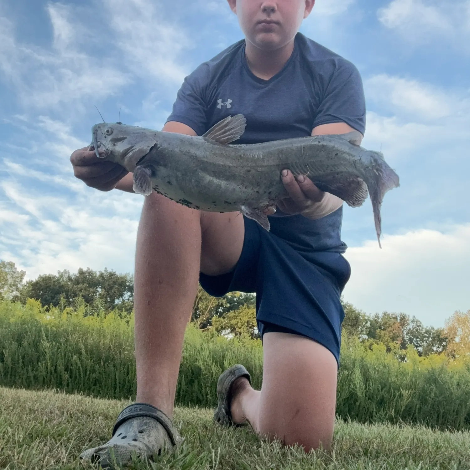 Channel catfish caught on Fishbrain