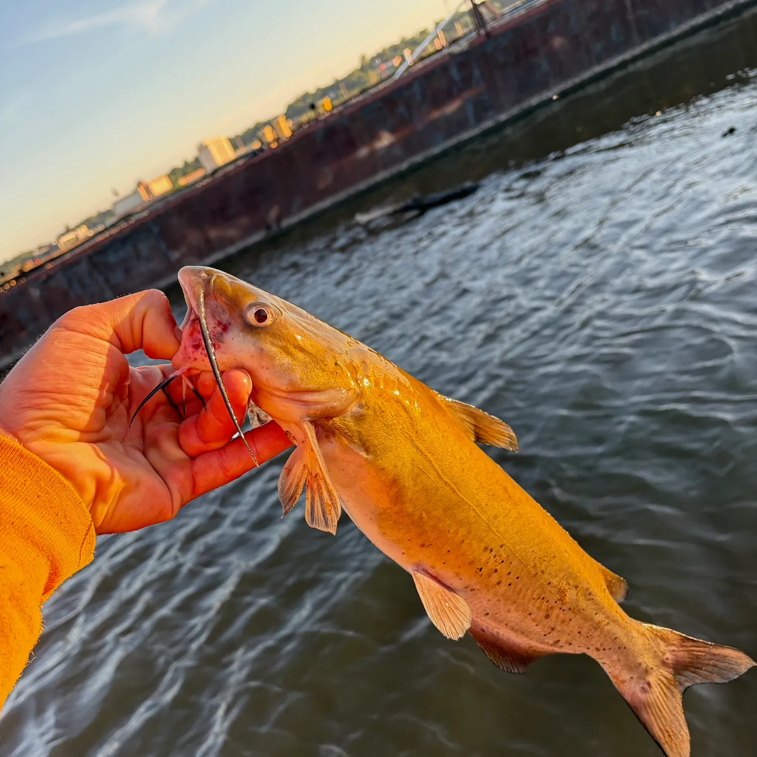 catch