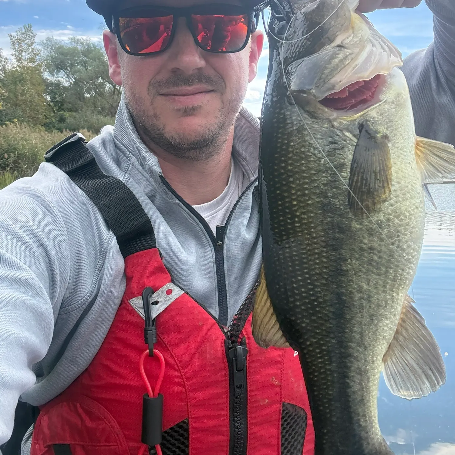 Largemouth bass caught on Fishbrain