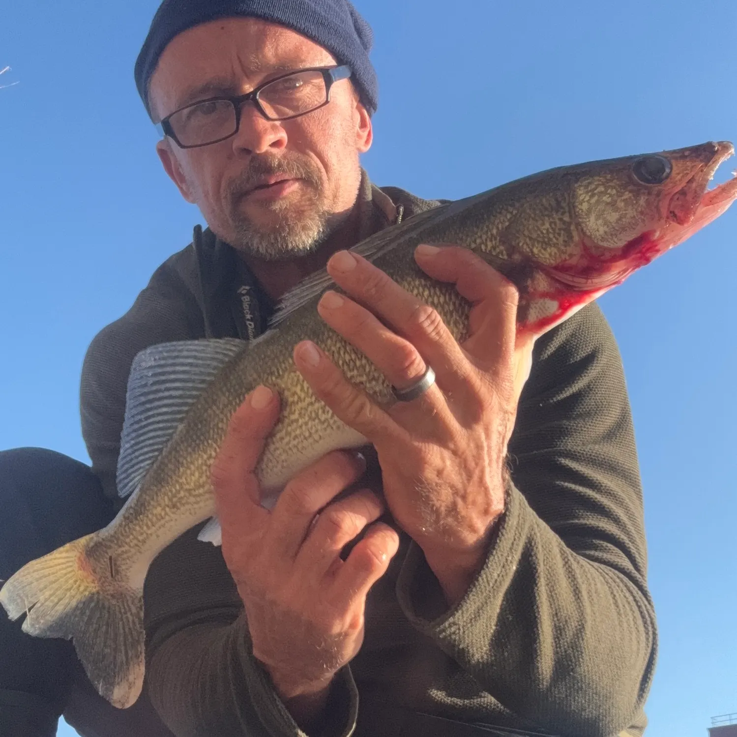 Walleye caught on Fishbrain