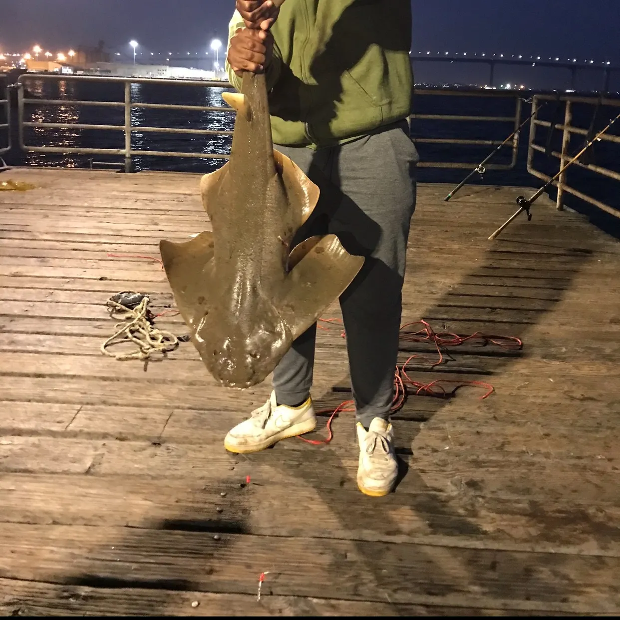 The most recent Smoothback angelshark catches on Fishbrain