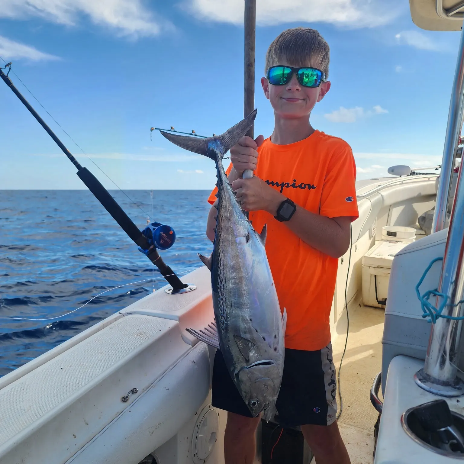 The most recent Little tunny catches on Fishbrain