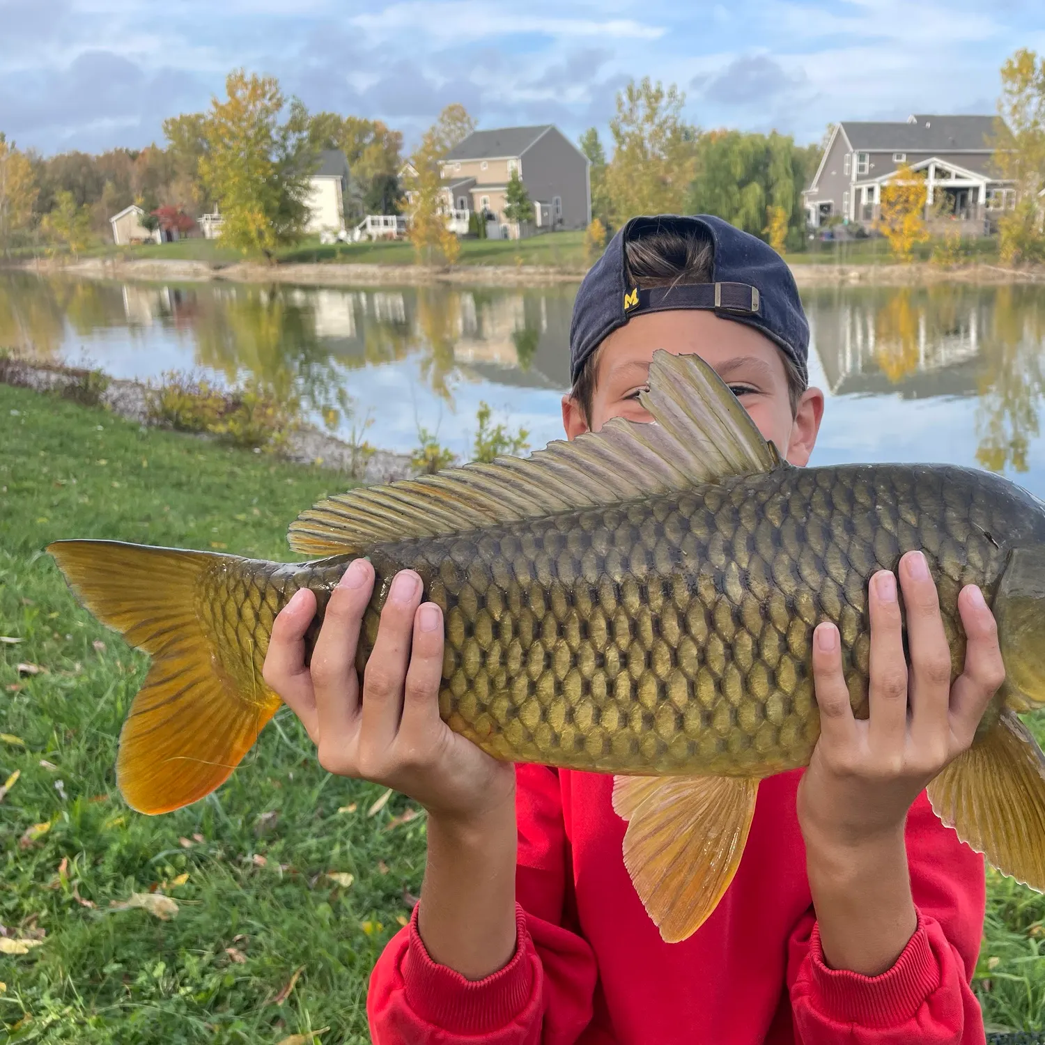 Common carp caught on Fishbrain