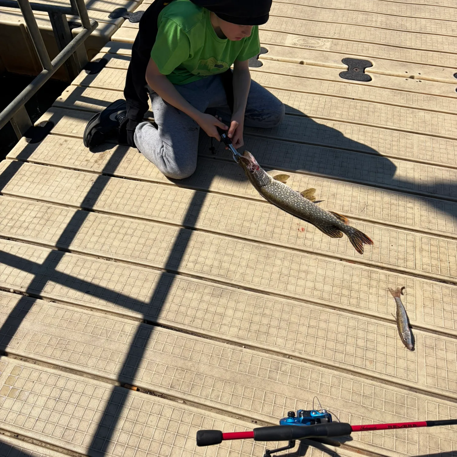 catch