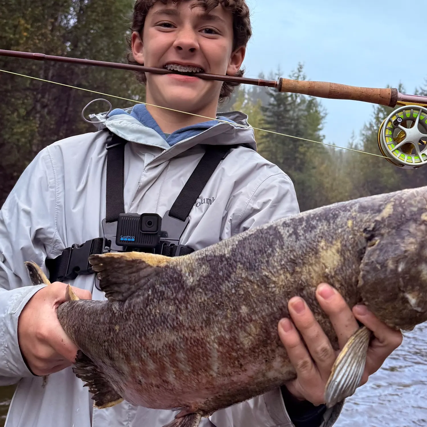 Chum salmon caught on Fishbrain