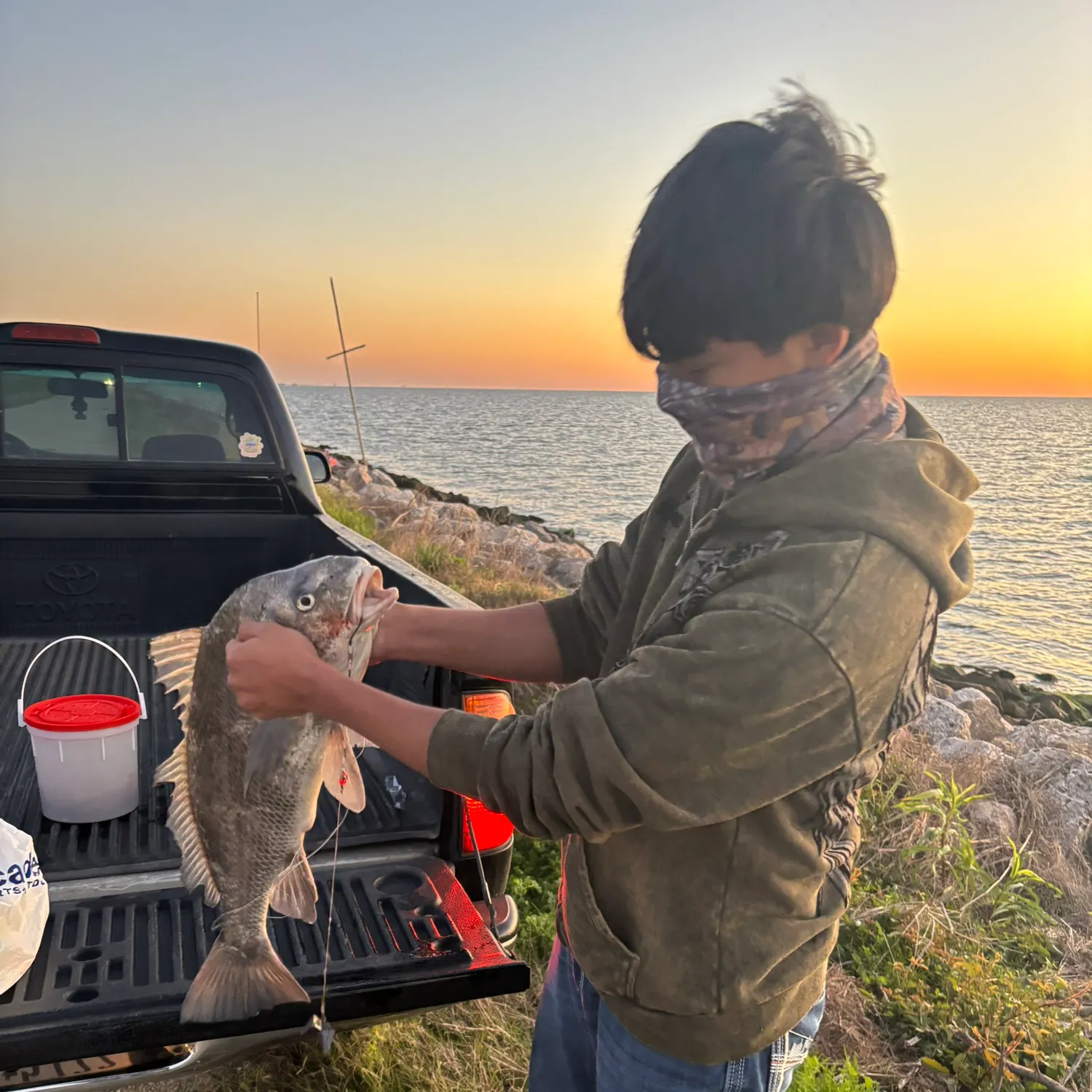 The most recent Black drum catches on Fishbrain