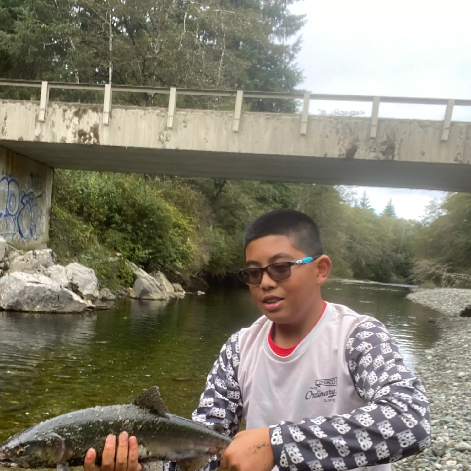 Pink salmon caught on Fishbrain