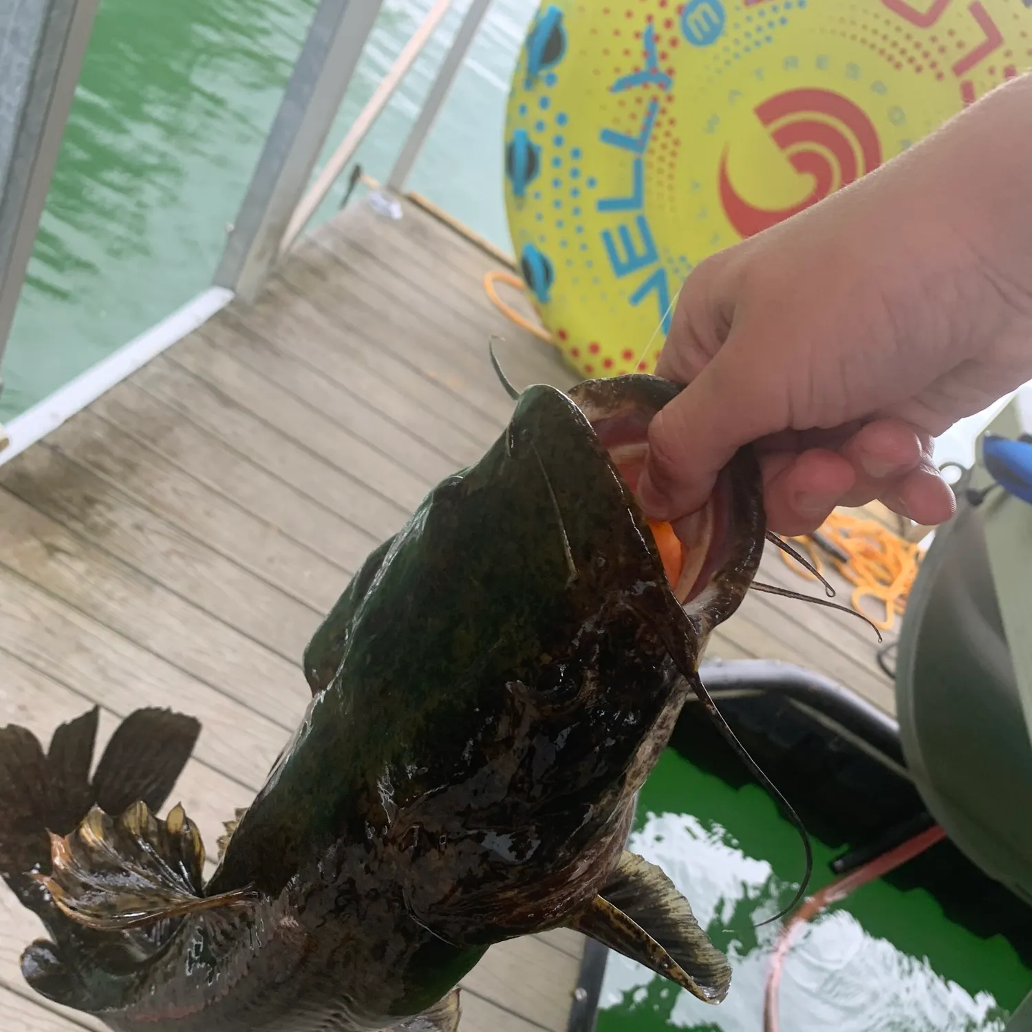 catch