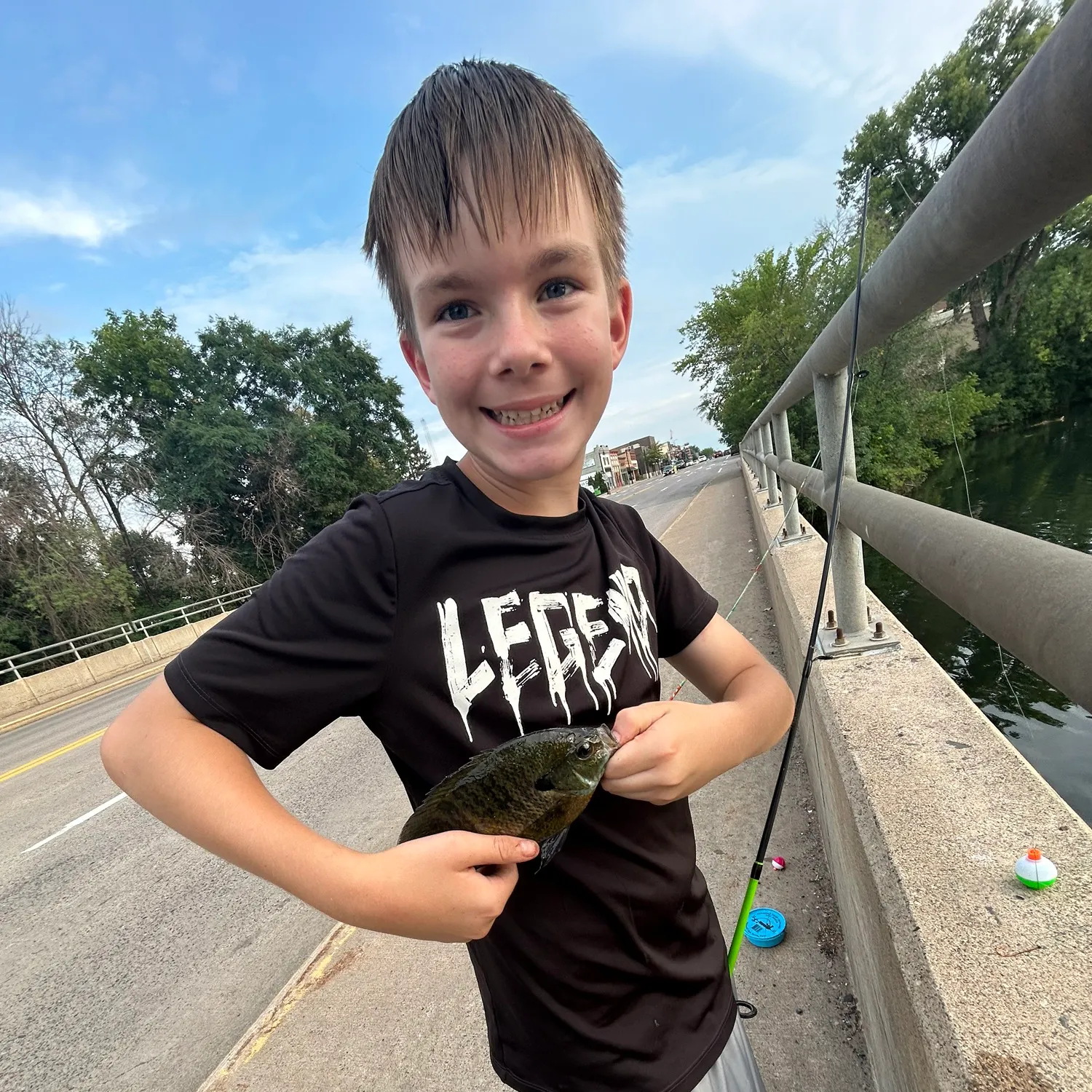 Bluegill caught on Fishbrain