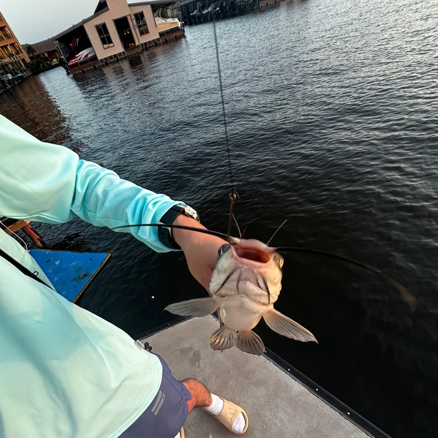 catch