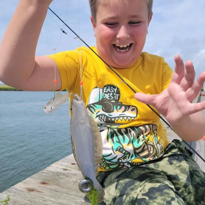 Summer flounder caught on Fishbrain