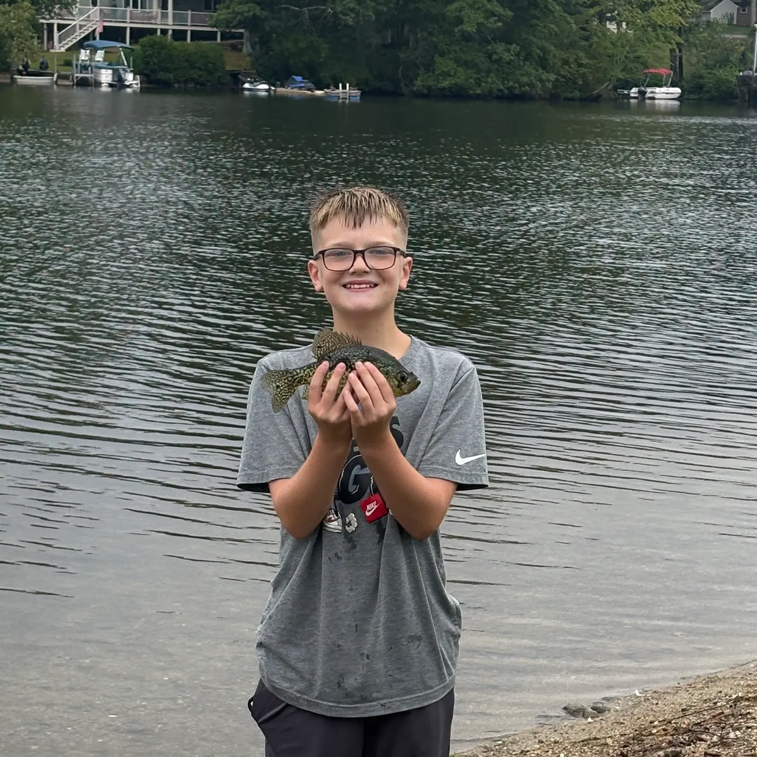 Black crappie caught on Fishbrain