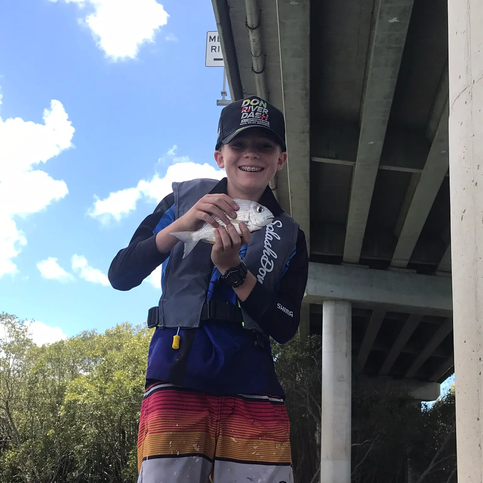 The most recent Pacific seabream catches on Fishbrain
