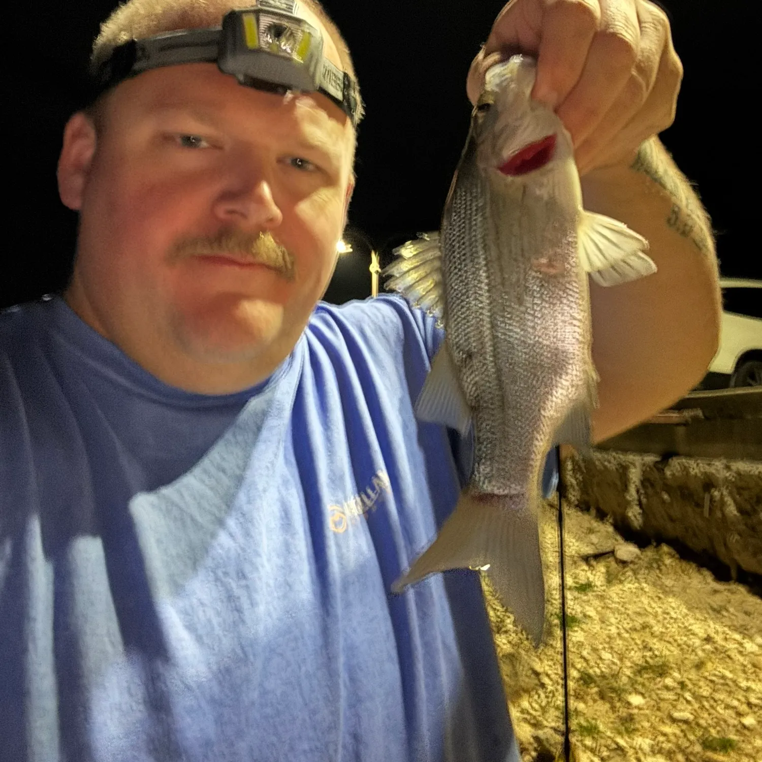 The most recent White bass catches on Fishbrain