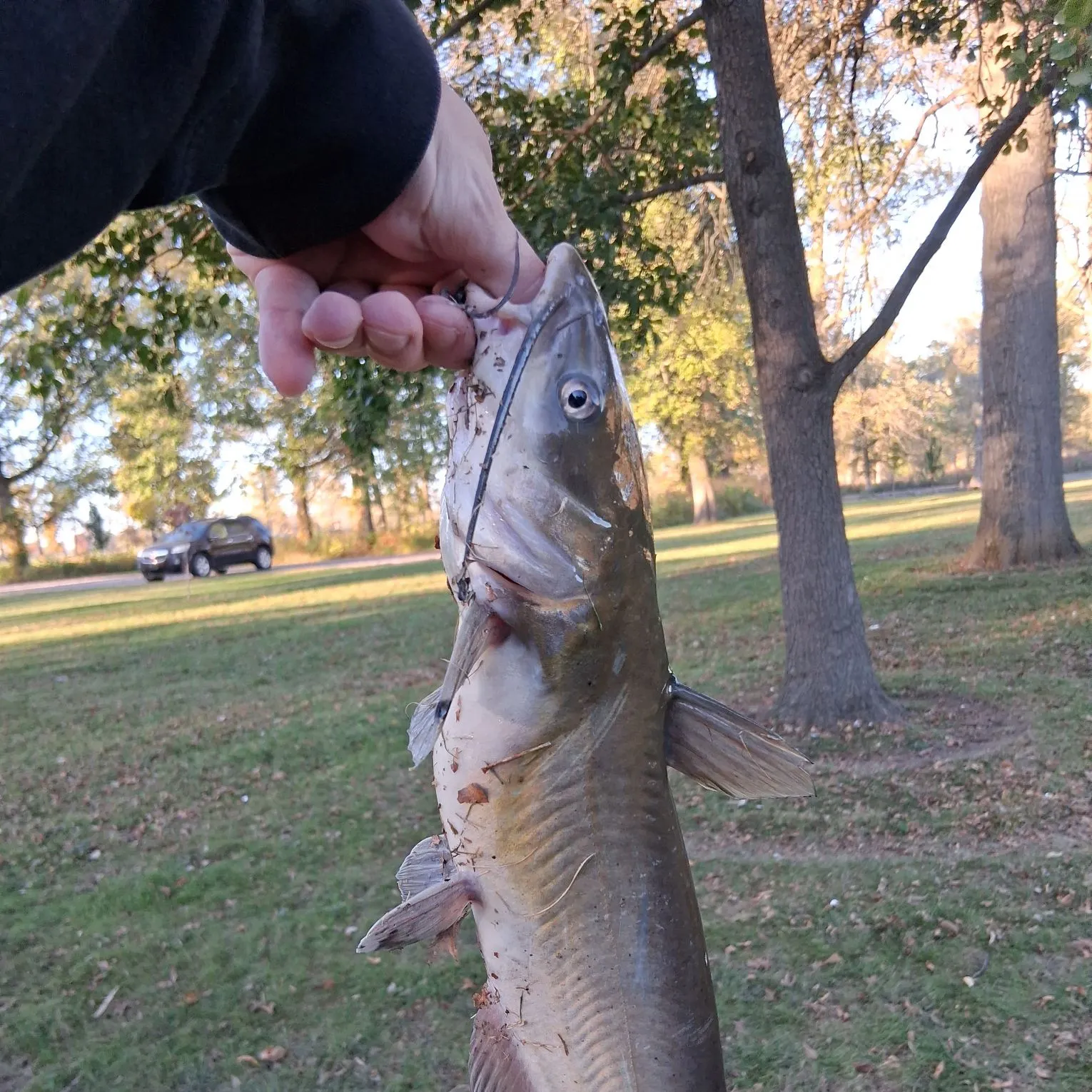 catch