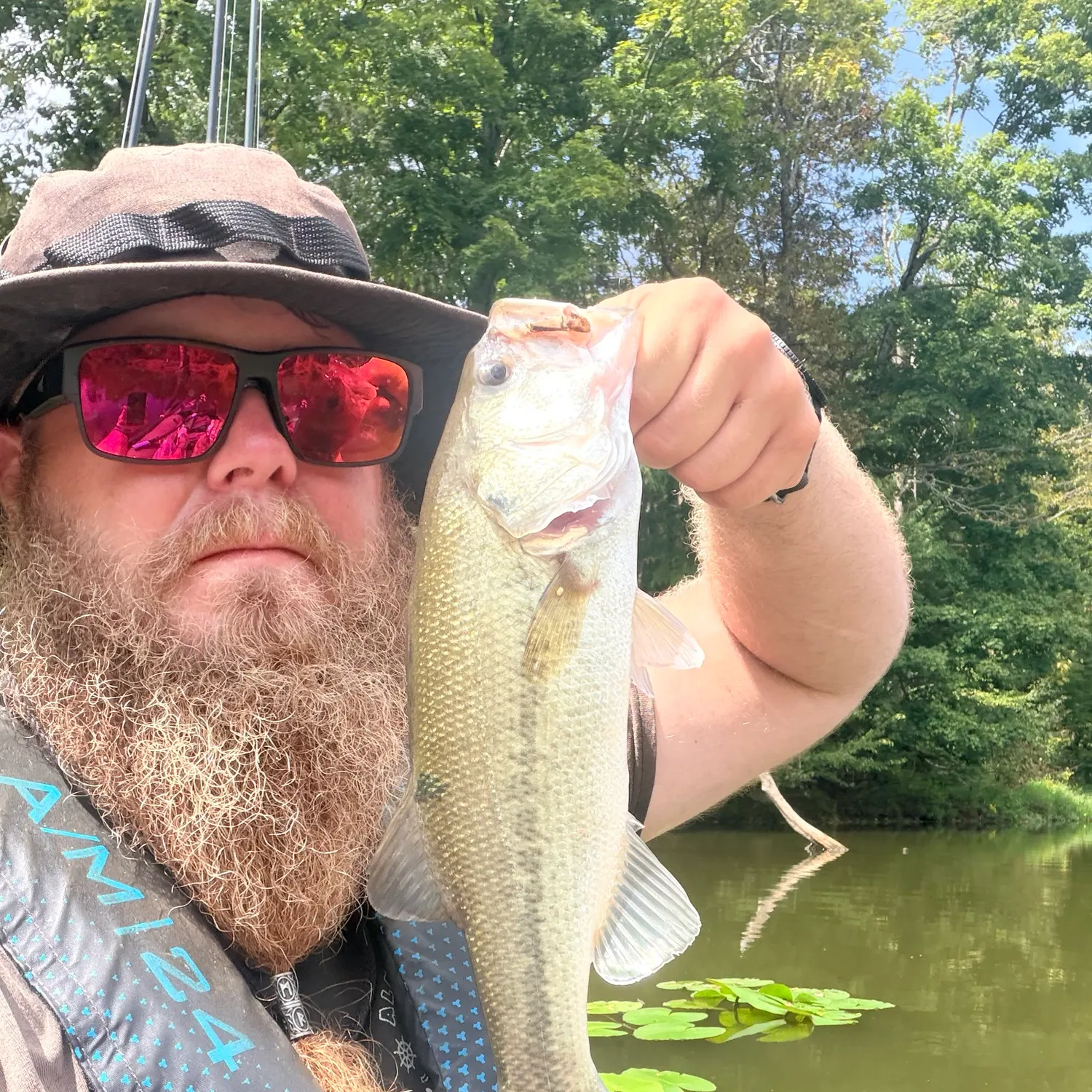Largemouth bass caught on Fishbrain
