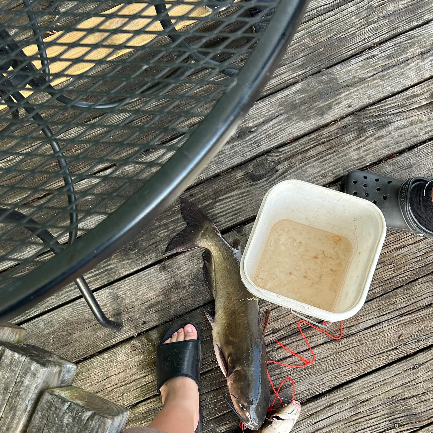 catch