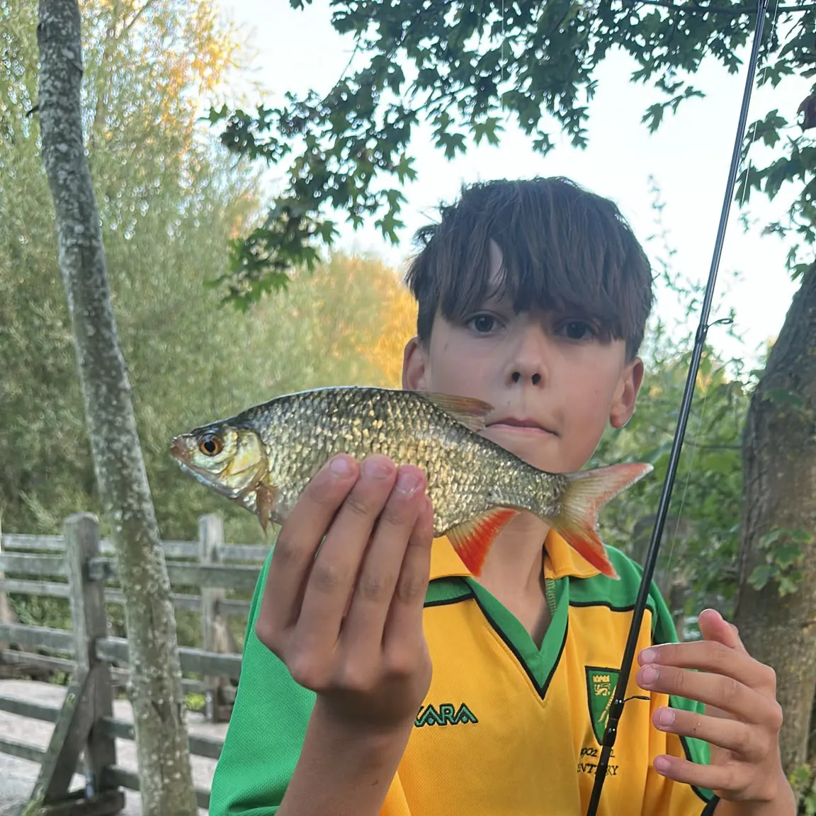 Common rudd caught on Fishbrain