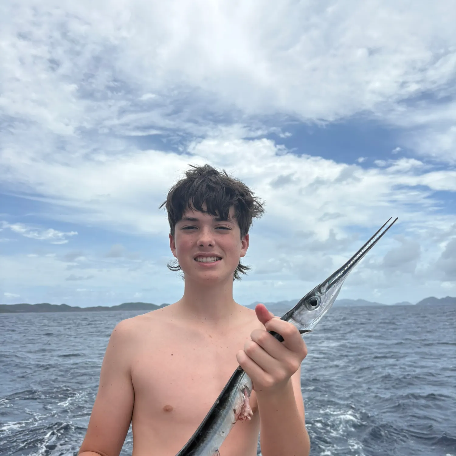 The most recent Ballyhoo halfbeak catches on Fishbrain