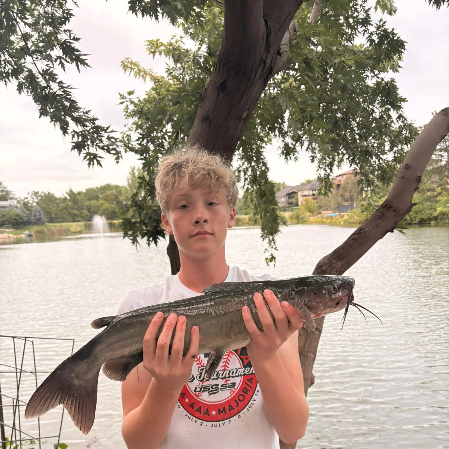 Channel catfish caught on Fishbrain