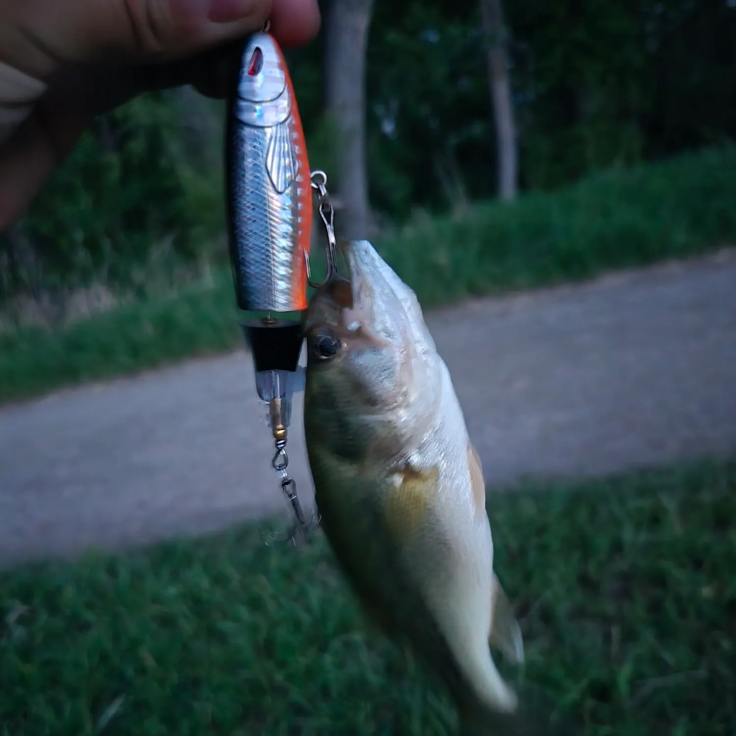 catch