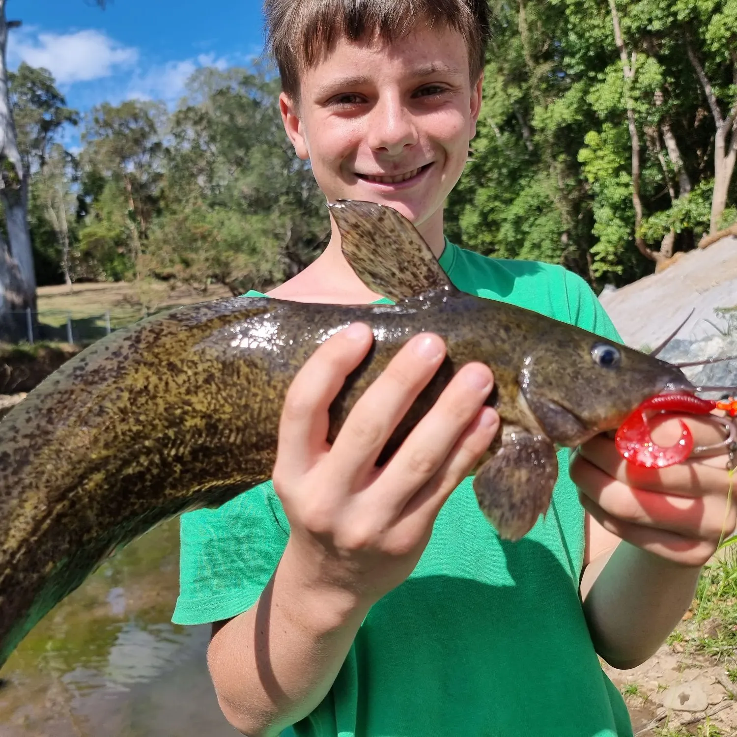 The most recent Dewfish catches on Fishbrain
