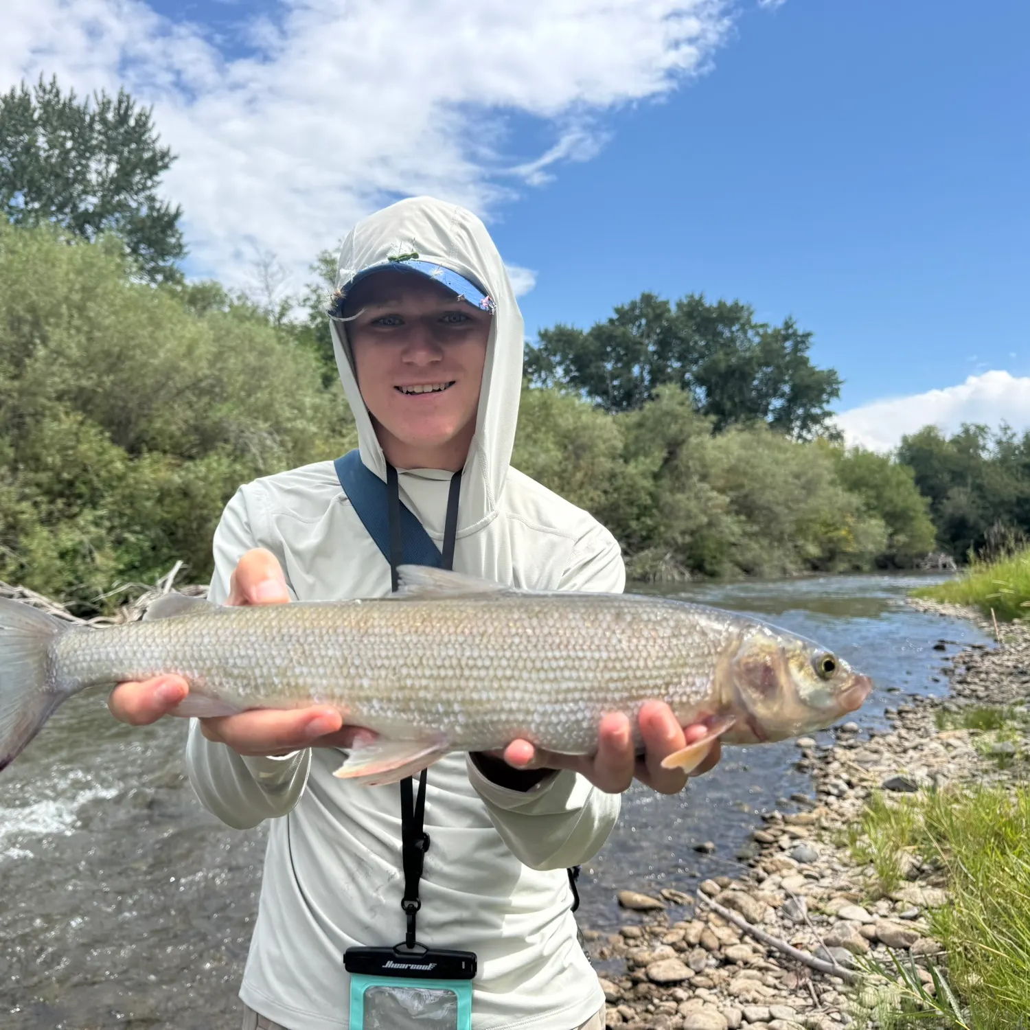The most recent Mountain whitefish catches on Fishbrain