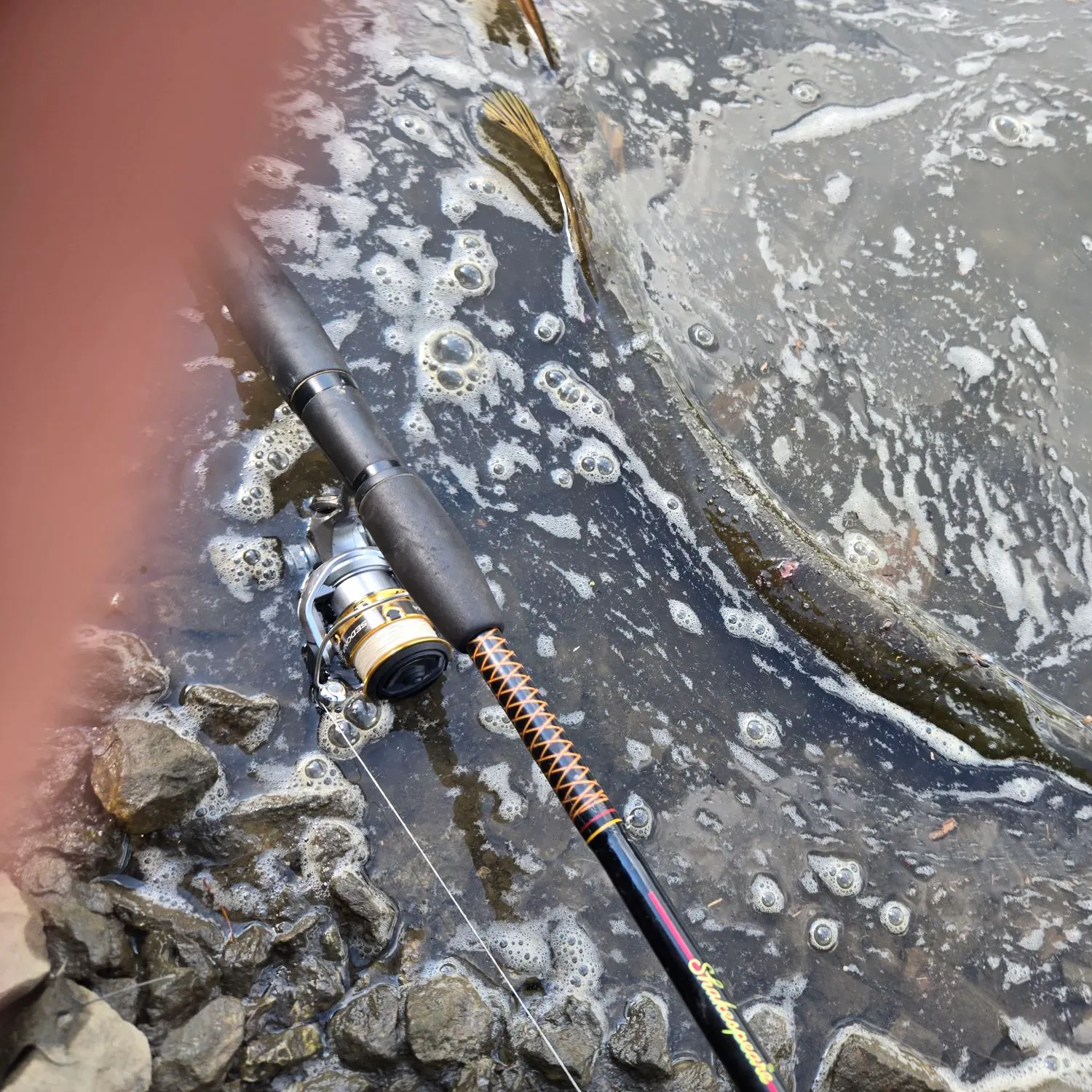 Northern pike caught on Fishbrain