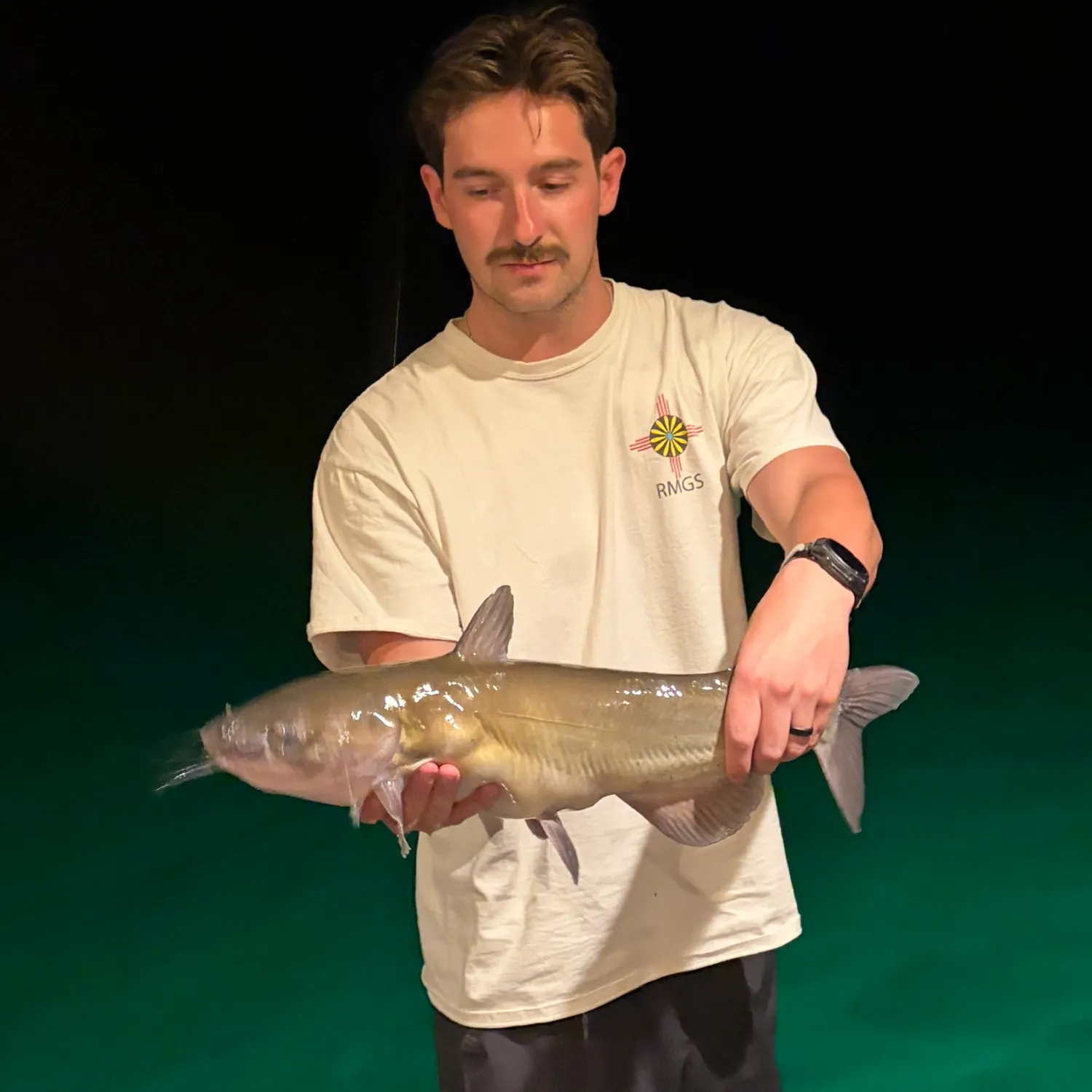 Channel catfish caught on Fishbrain