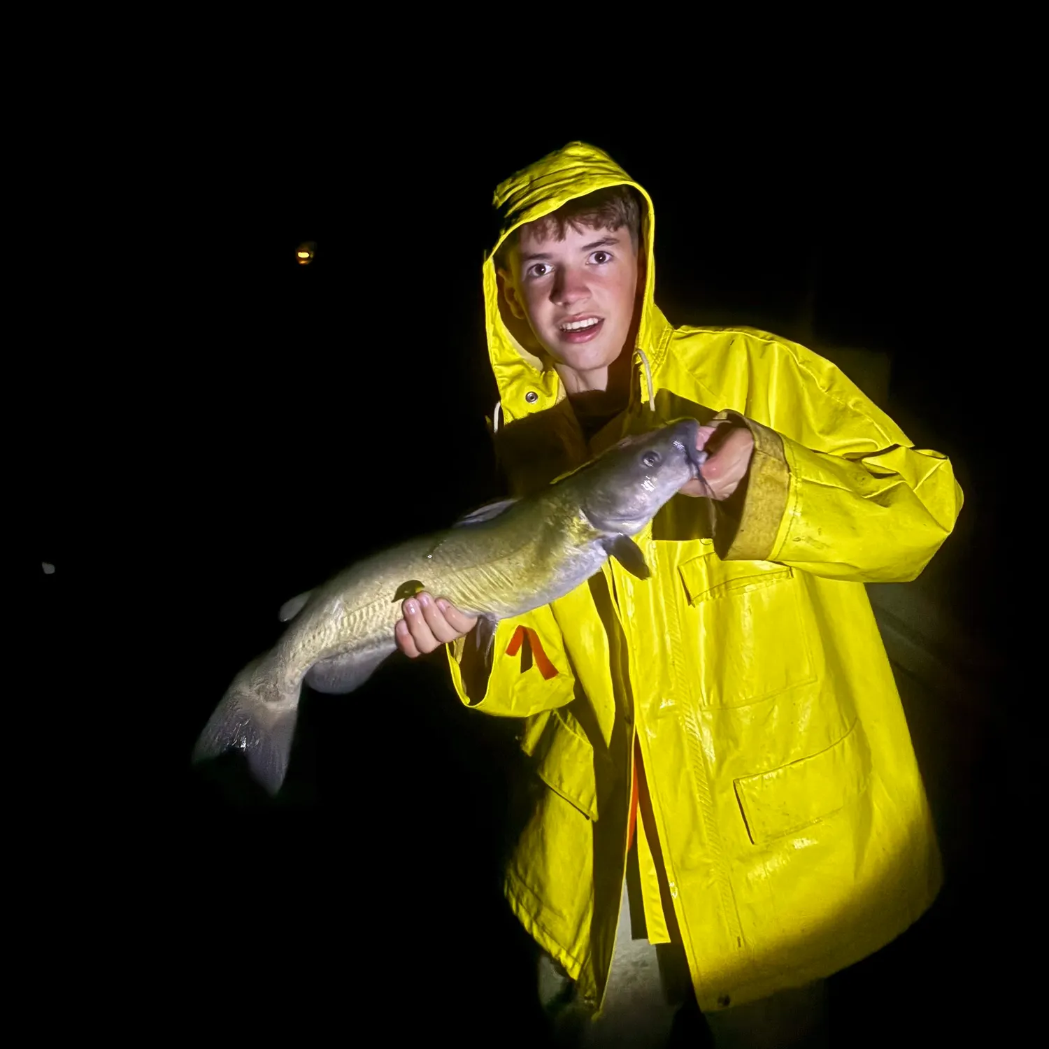 Channel catfish caught on Fishbrain