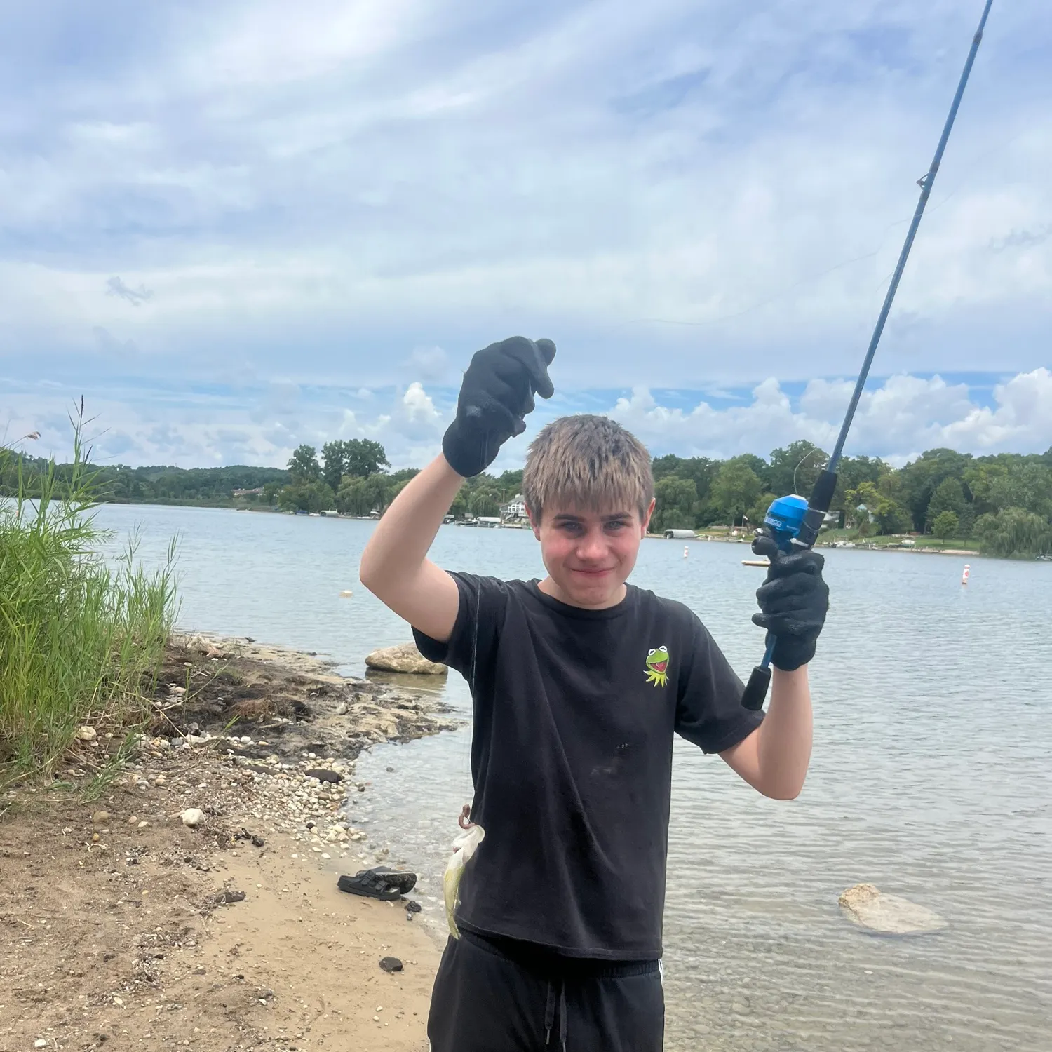 Rock bass caught on Fishbrain