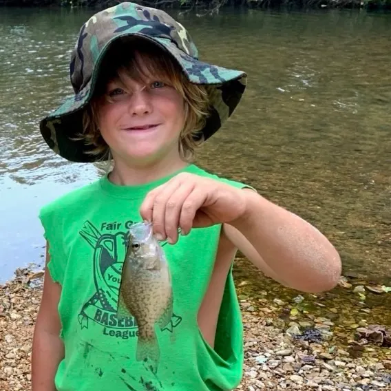 Black crappie caught on Fishbrain