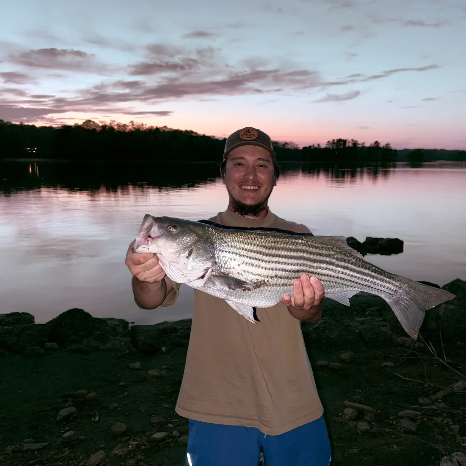 The most recent Striped bass catches on Fishbrain