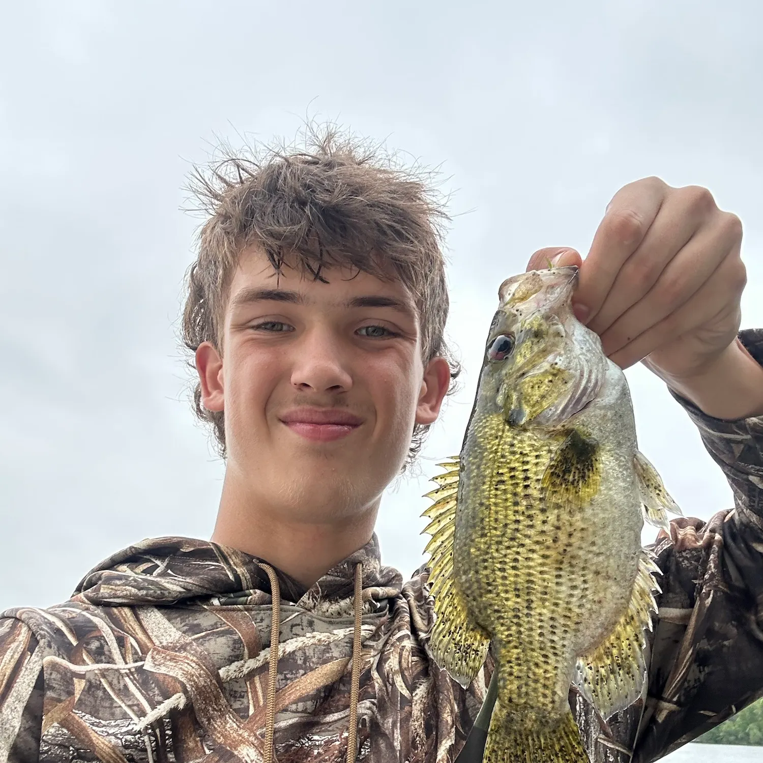 Rock bass caught on Fishbrain