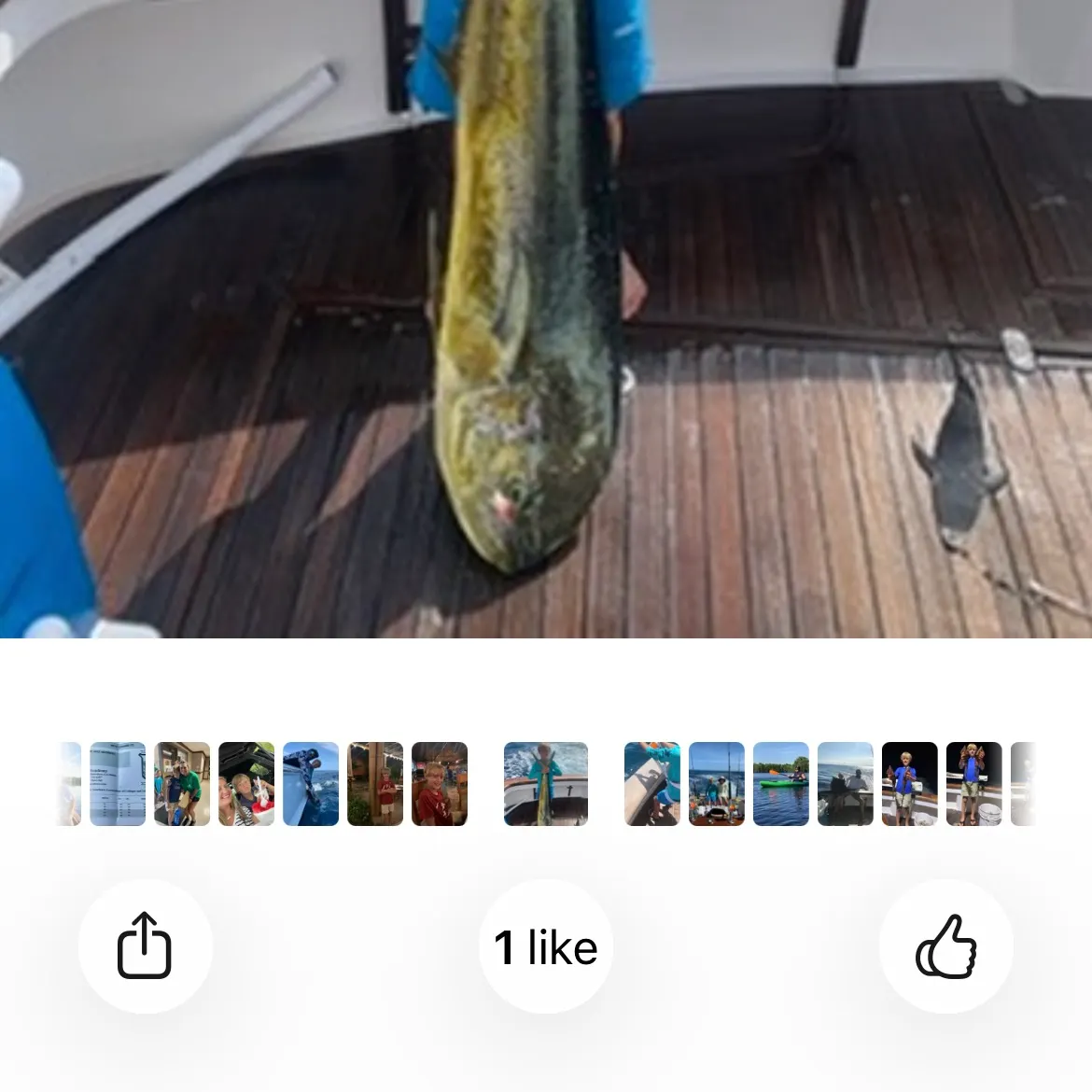 recently logged catches