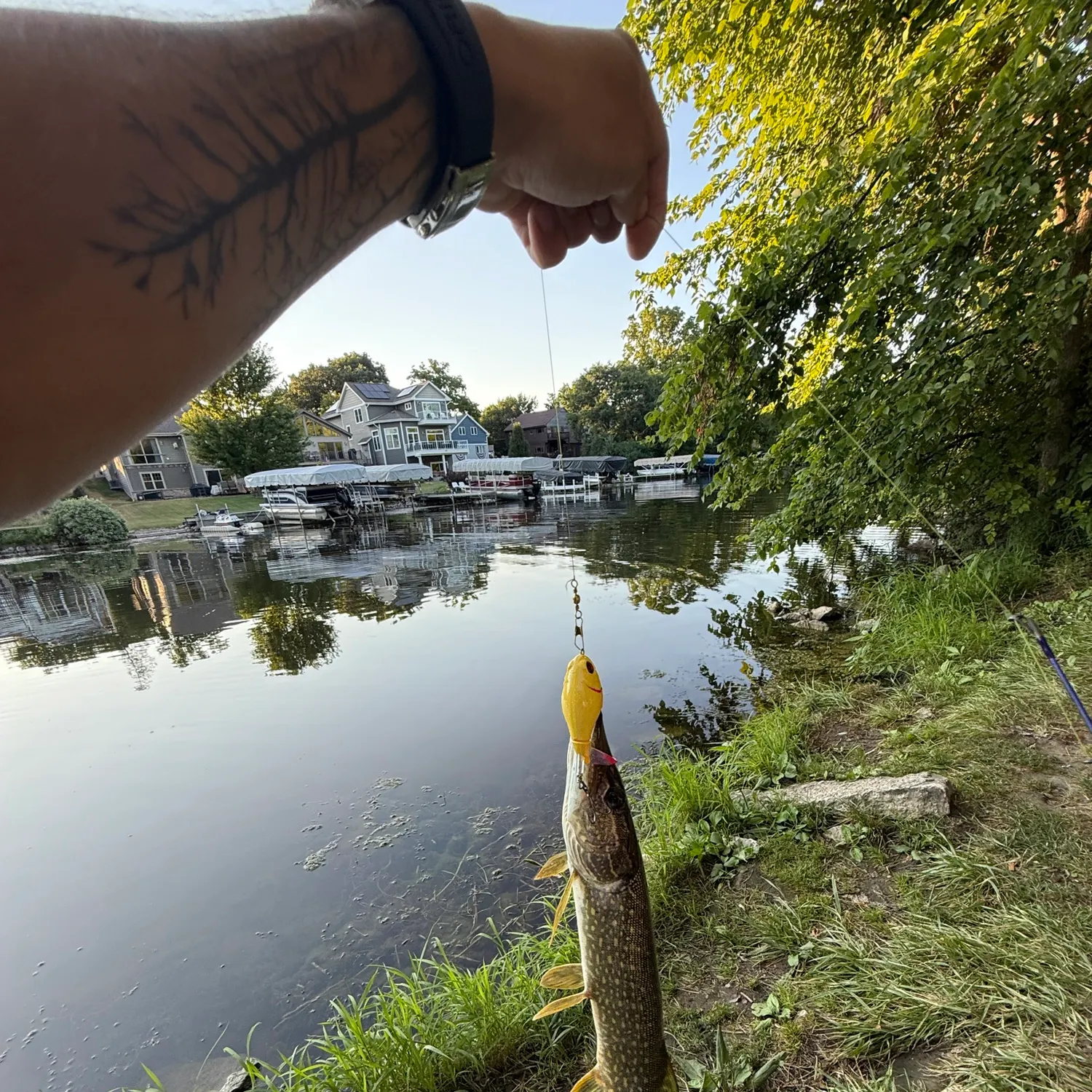 catch