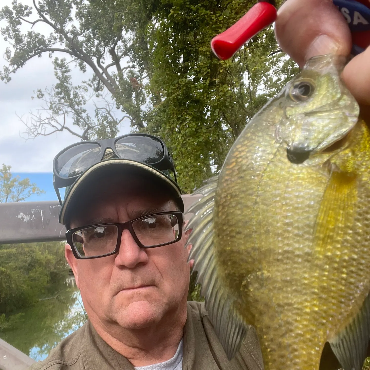 Bluegill caught on Fishbrain