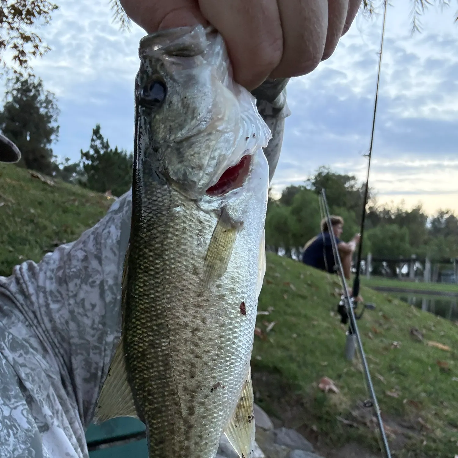 catch