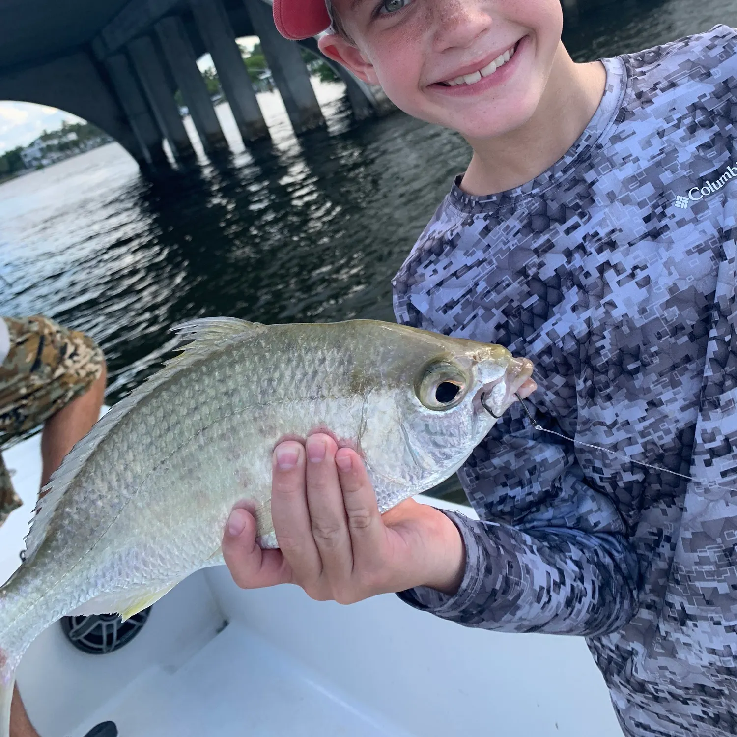 The most recent Spottail seabream catches on Fishbrain