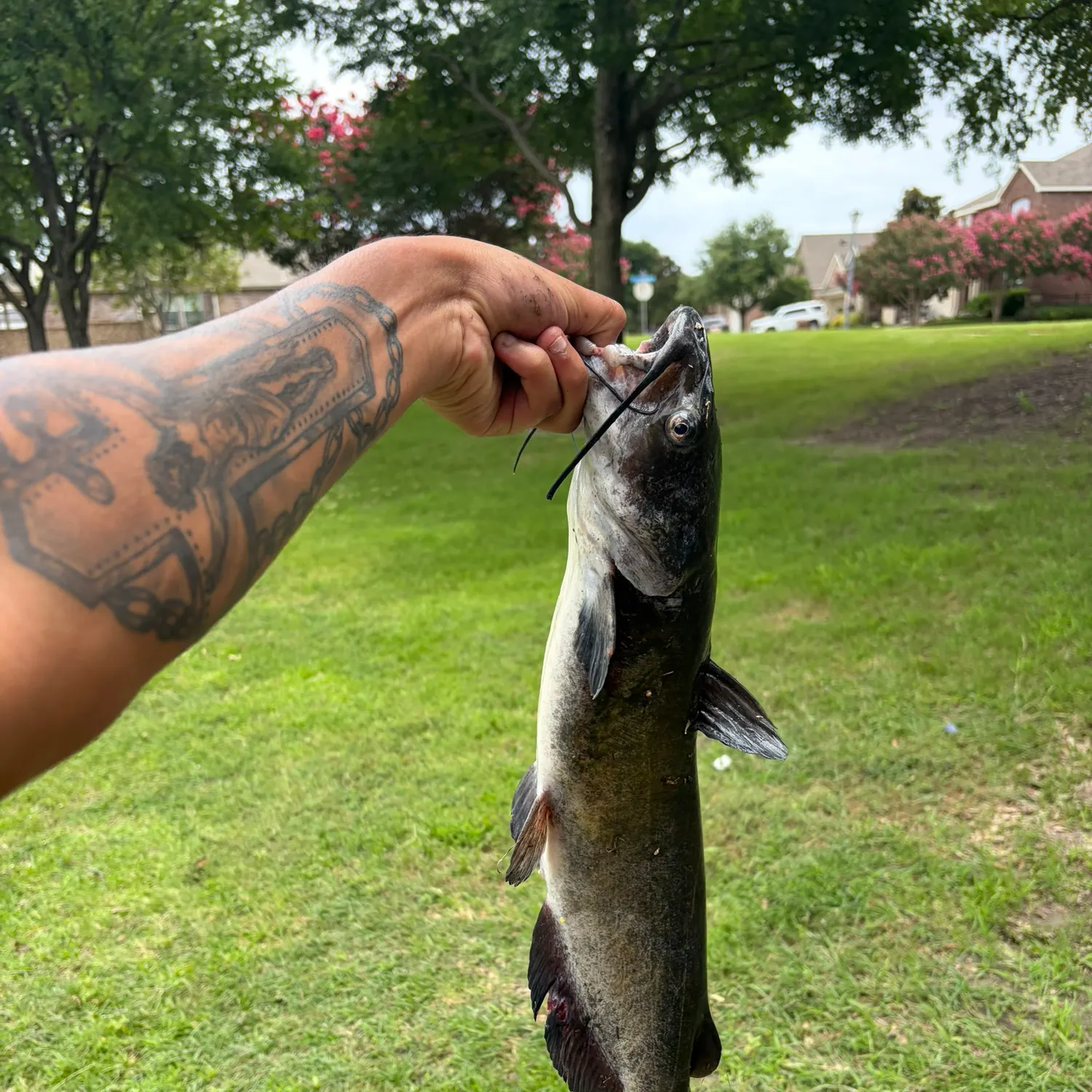 catch