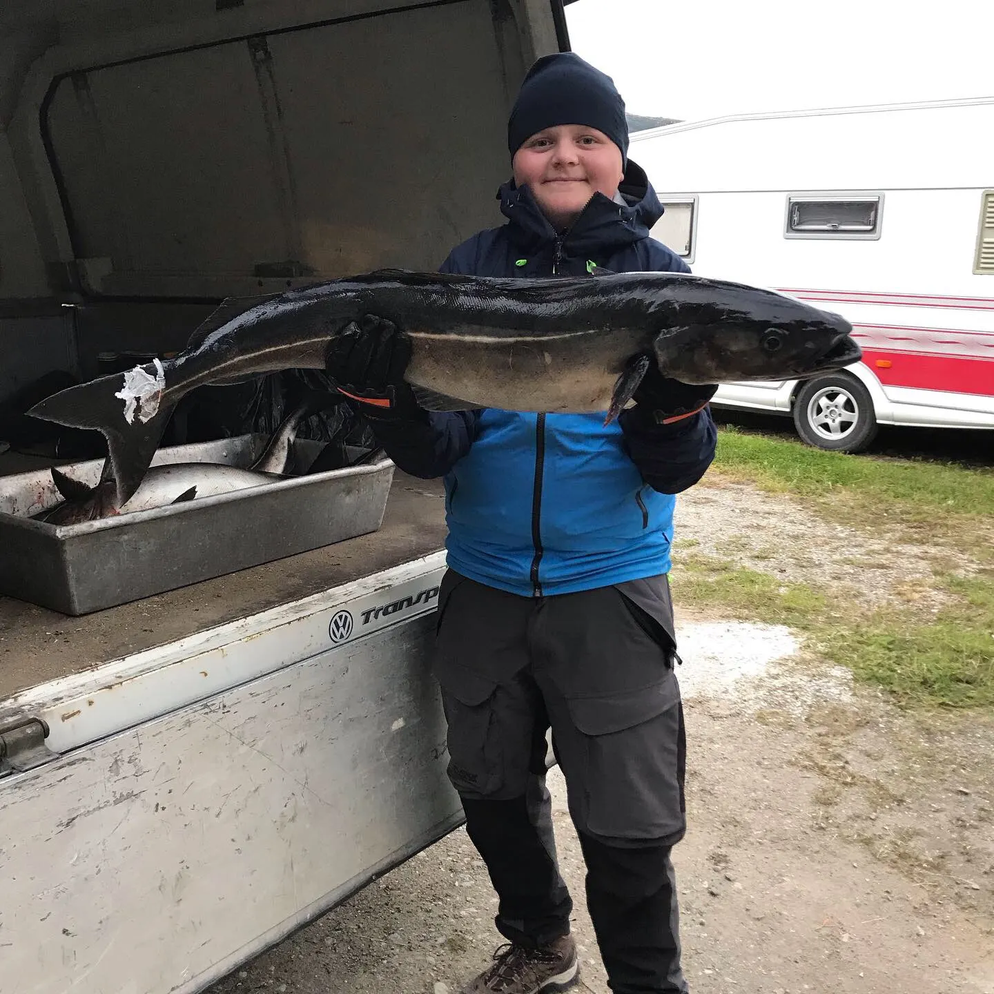Atlantic pollock caught on Fishbrain