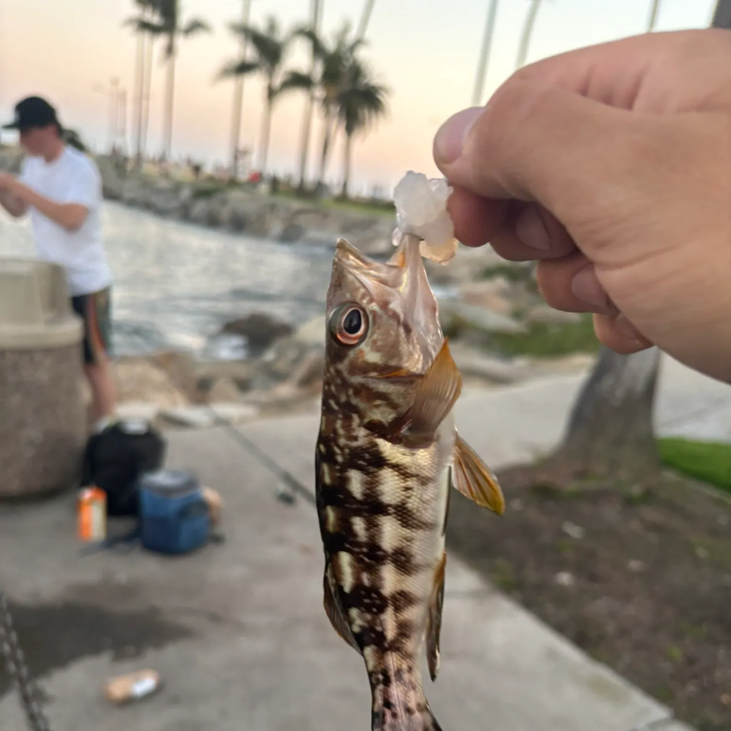 catch