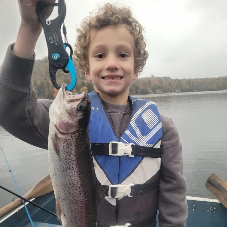Rainbow trout caught on Fishbrain