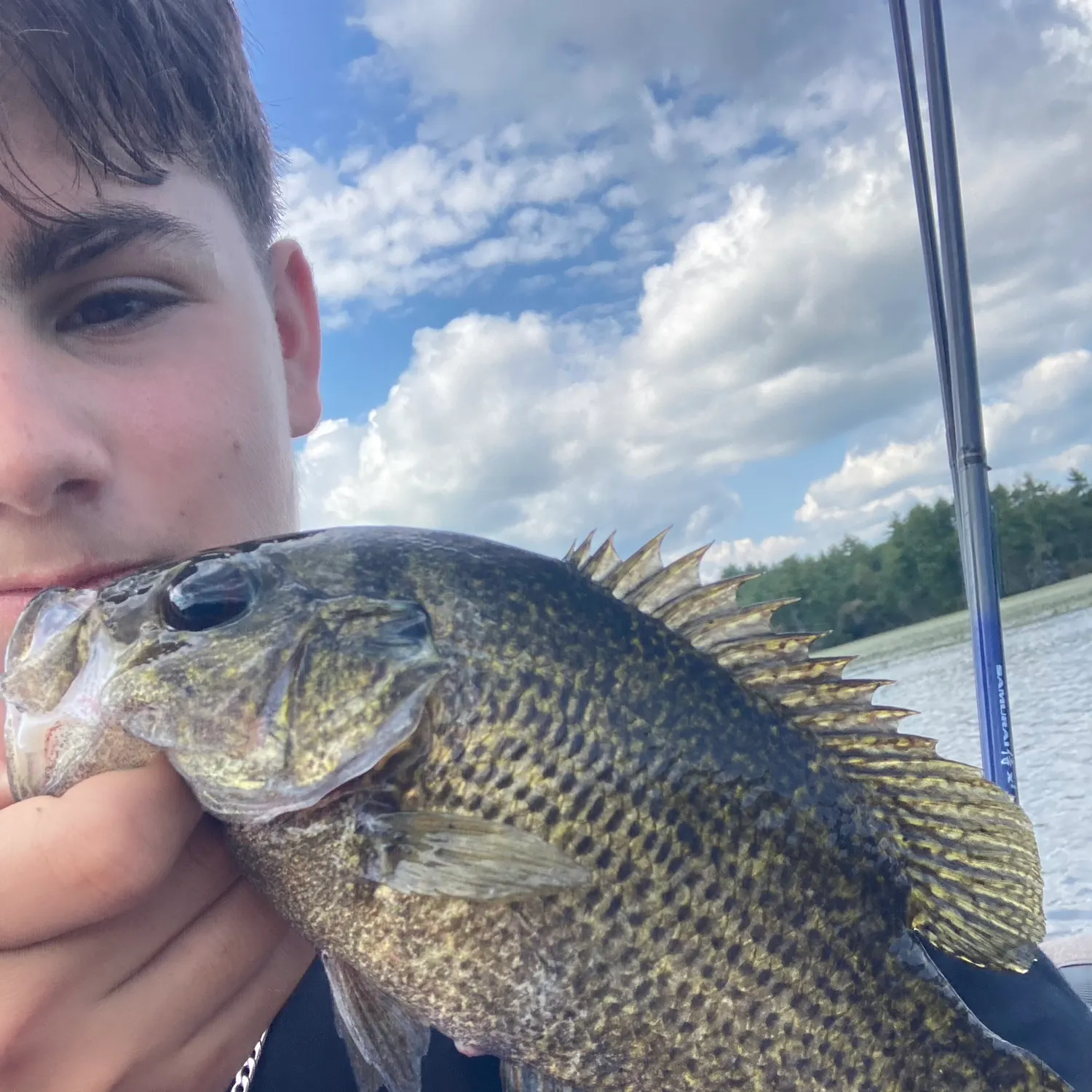 The most recent Roanoke bass catches on Fishbrain