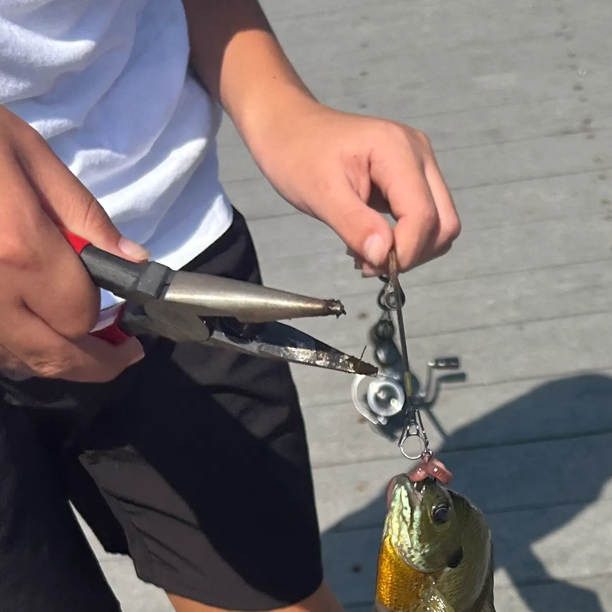 catch