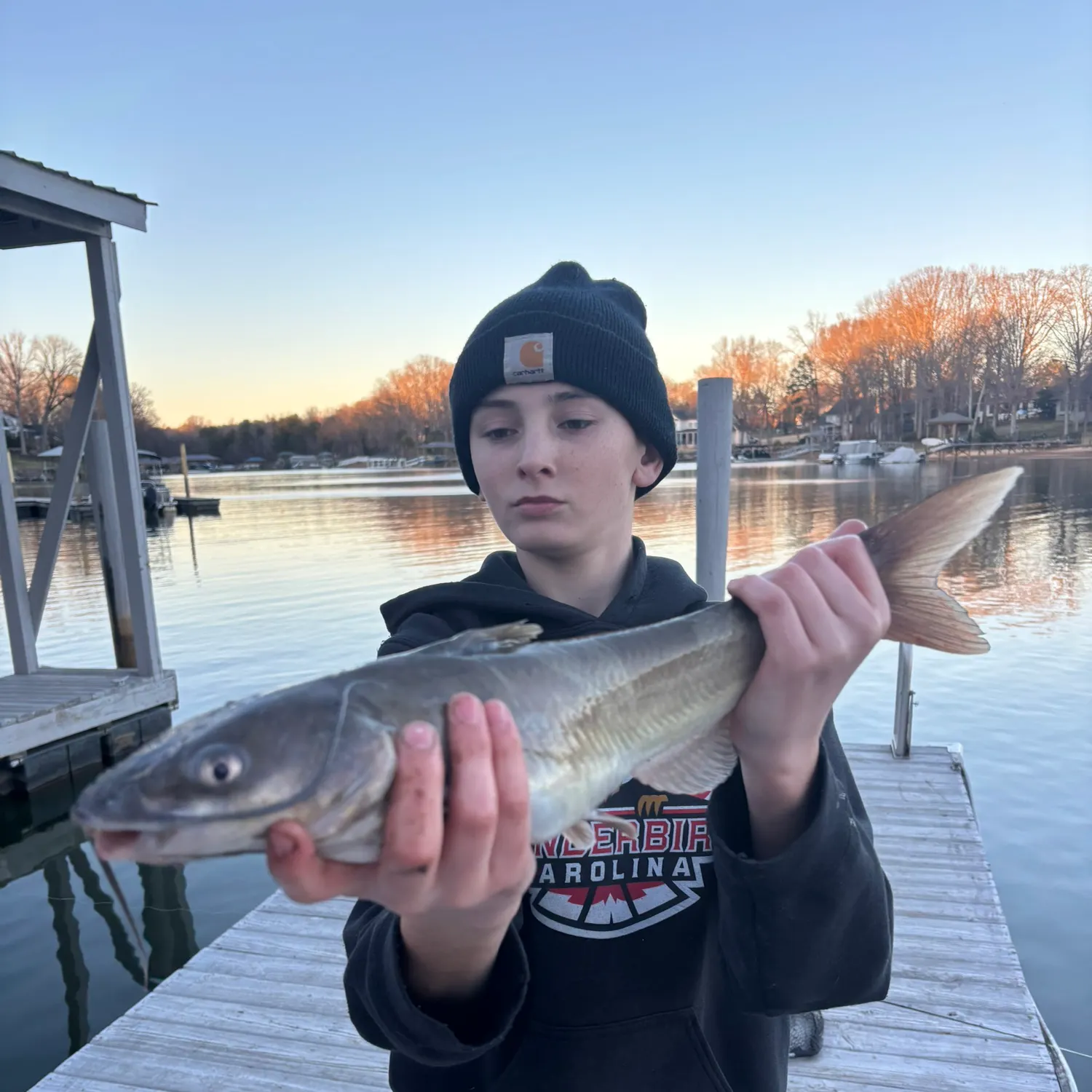 recently logged catches