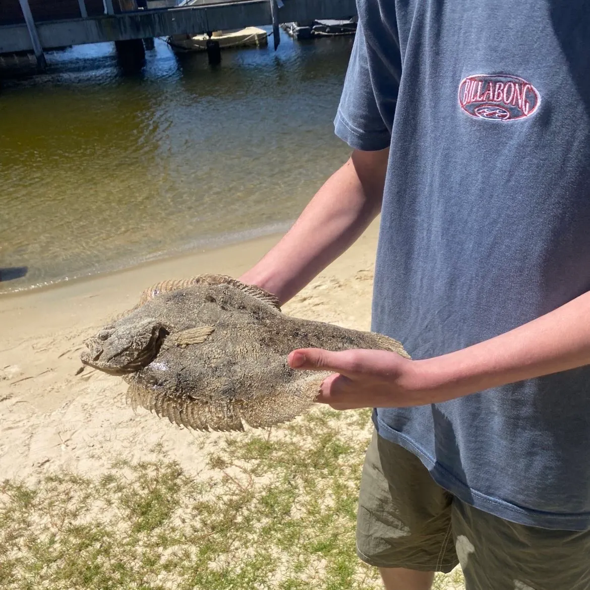 The most recent Smalltooth flounder catches on Fishbrain