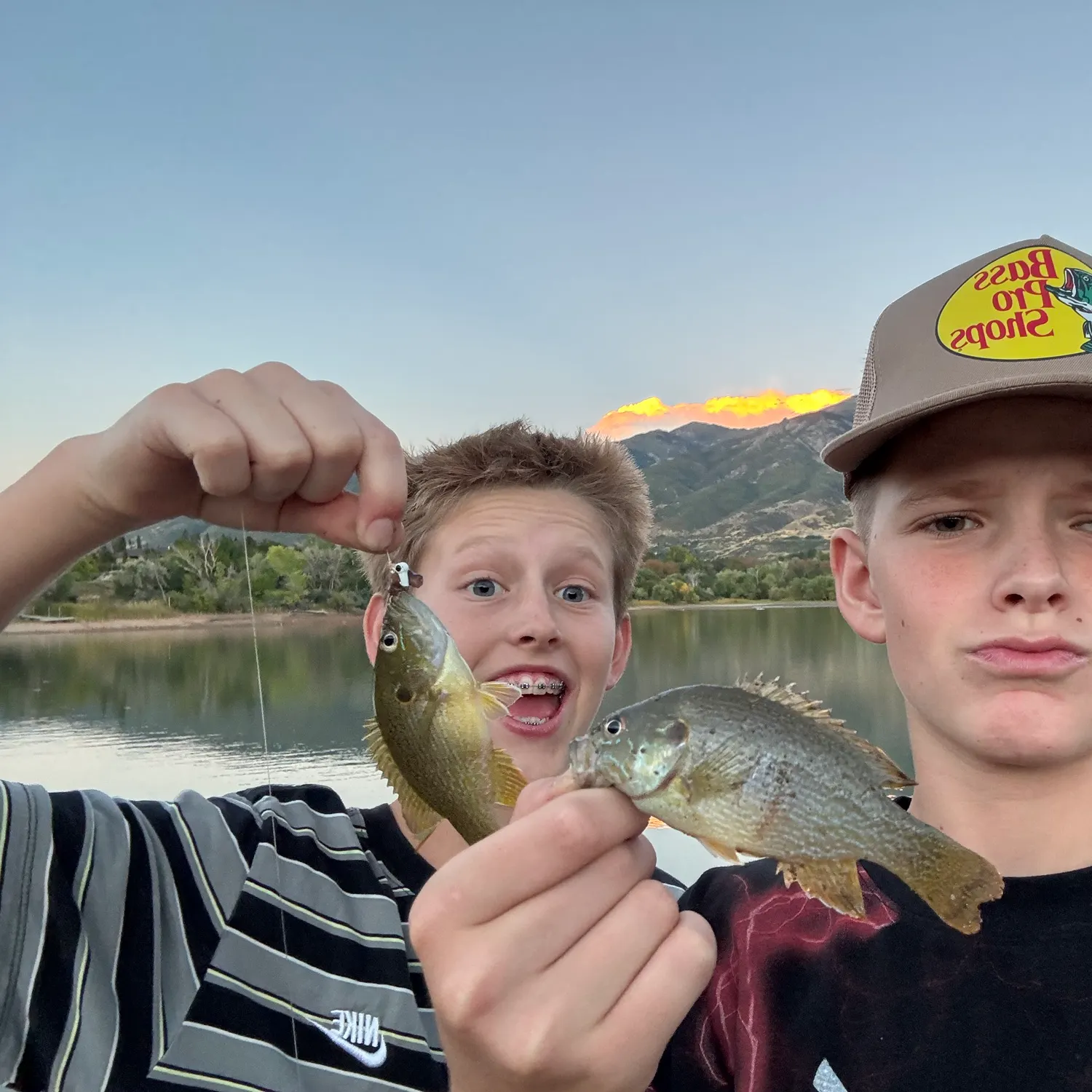 Green sunfish caught on Fishbrain