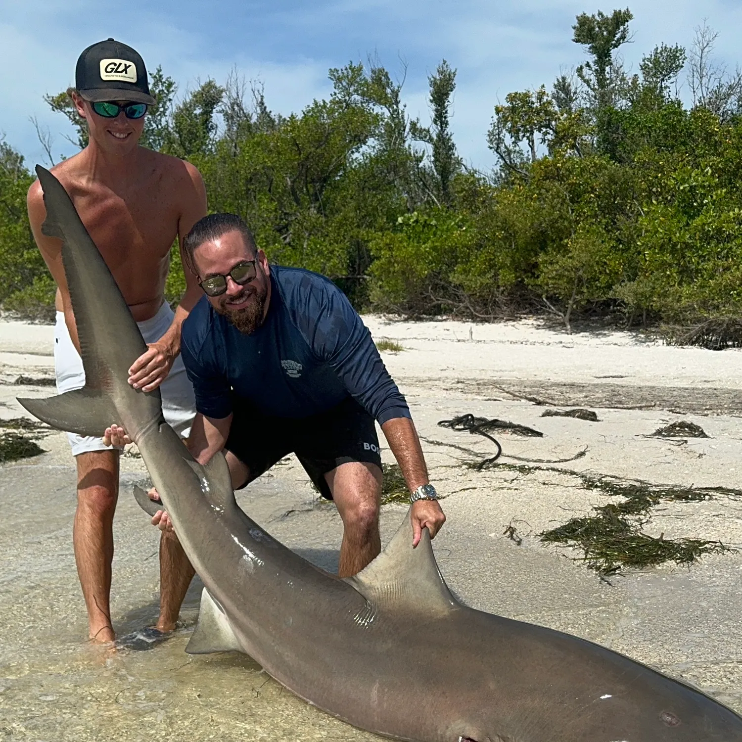 The most recent Bull shark catches on Fishbrain
