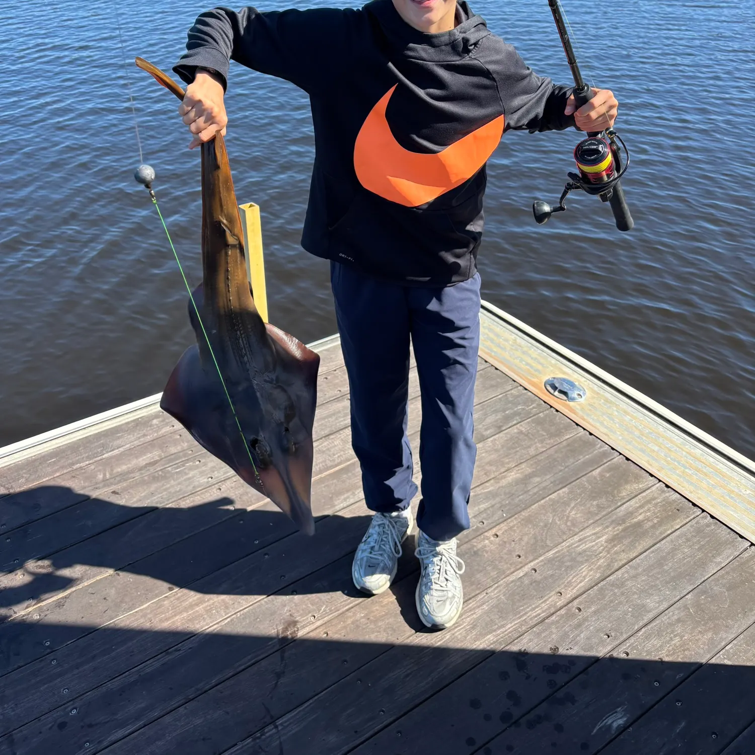 The most recent Pacific shovelnose guitarfish catches on Fishbrain